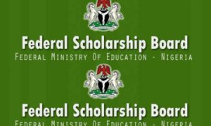 Federal Government Bilateral Educational Agreement (BEA) Scholarships